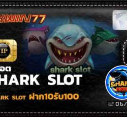 สล็อต777 เกมยอดนิยมปั่นแตกง่าย จาก shark slot ค่ายเกมสุดฮิต