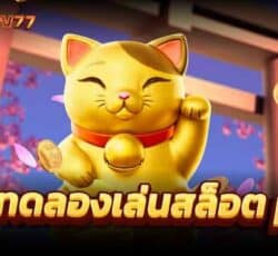 ทดลองเล่นสล็อต pg ยังไง ให้ได้เงิน เล่นที่เว็บนี้ ที่เดียวเท่านั้น