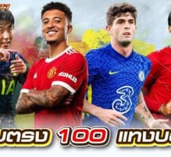 เว็บตรง 100 แทงบอล เว็บไซต์ที่ดีที่สุดในการวางเดิมพัน